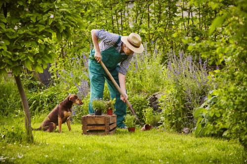 Professional gardening services in Woodside Park improving kerb appeal