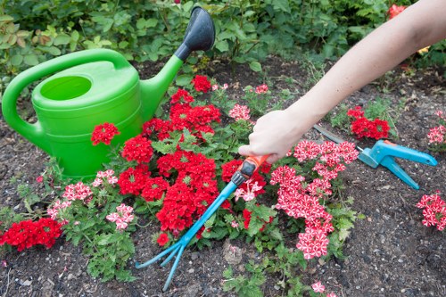 Professional crown reduction and safety-focused tree care in Woodside Park