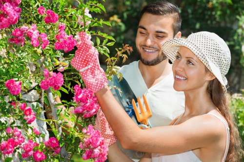 Seasonal lawn maintenance in Woodside Park