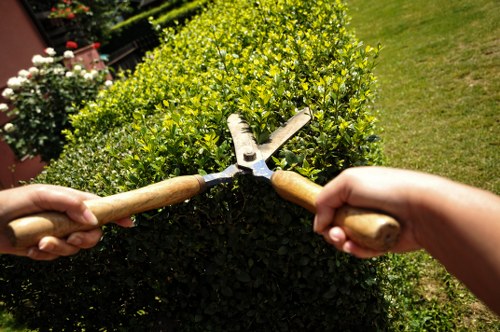 Professional lawn care for a Woodside Park garden