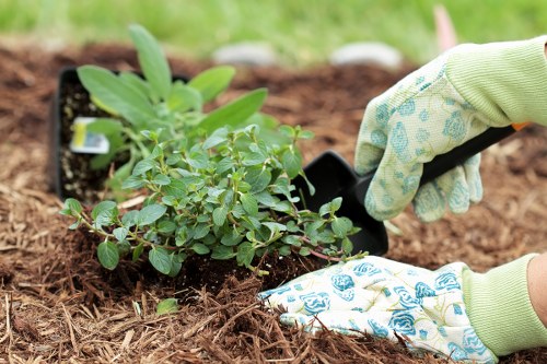 Seasonal planting and low-maintenance garden design in Woodside Park