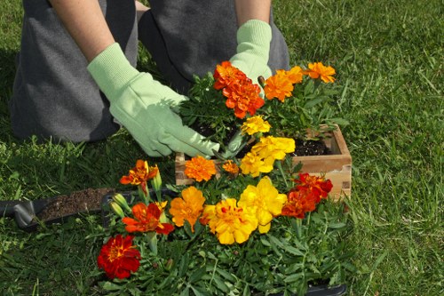 Professional Woodside Park gardening team working on a residential garden