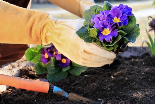 Annual review of modern slavery controls for Woodside Park gardeners