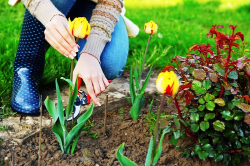 Weeding and border upkeep in a well-kept Woodside Park garden