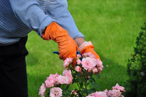 Thoughtful garden property care in Woodside Park with a focus on structure