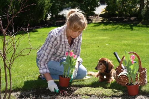 Professional fence installation work in Woodside Park