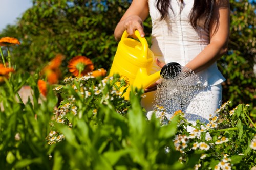 Local gardeners in Woodside Park improving lawn and planting health