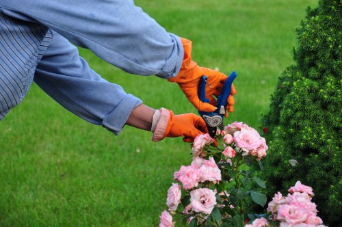 Free quote policy for local gardening work