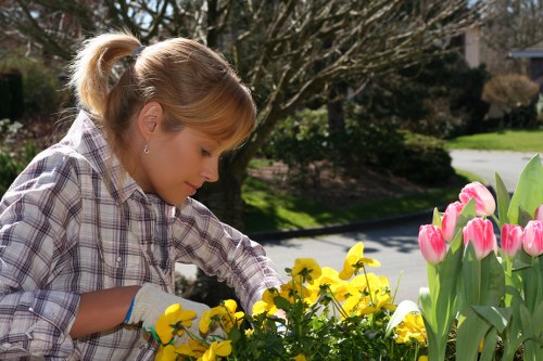 Example garden jobs for homes in Woodside Park