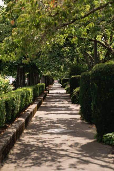 A portion of a narrow rear garden featuring a well-maintained lawn with lush green grass and neatly trimmed borders, including low-growing shrubs and flowering plants. The garden has a paved pathway t