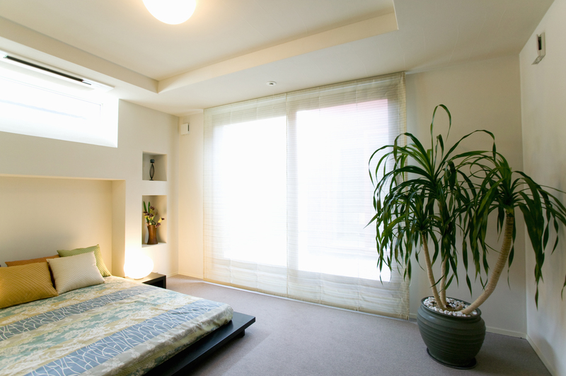 Plants home / best home
