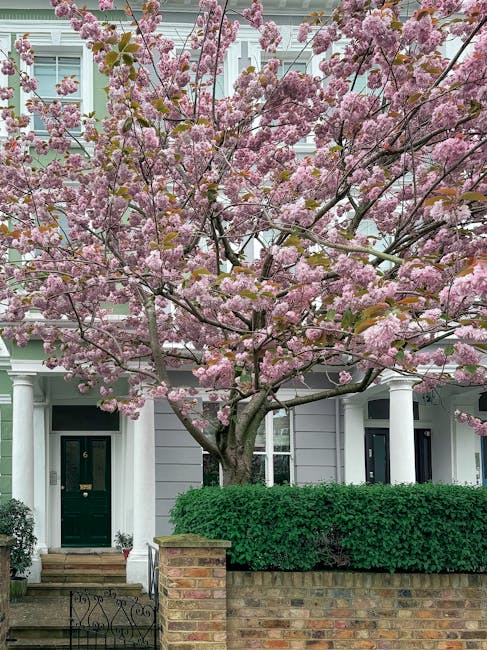 Woodside Park gardeners guide to NW11 small front gardens
